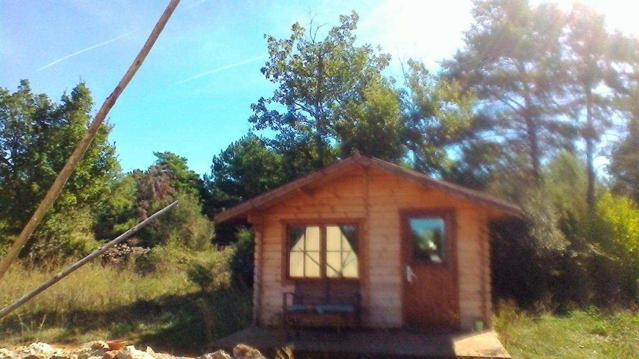 Ranch Du Puits De Riquier Otel Moissac-Bellevue Dış mekan fotoğraf