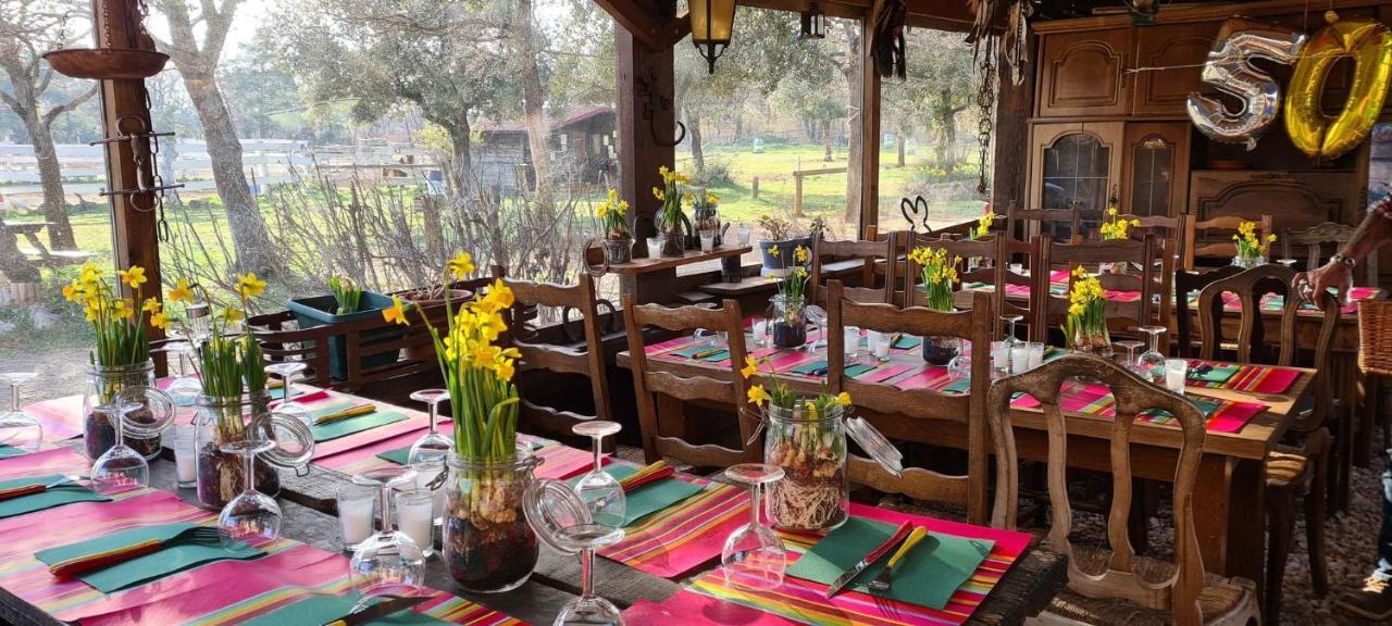 Ranch Du Puits De Riquier Otel Moissac-Bellevue Dış mekan fotoğraf